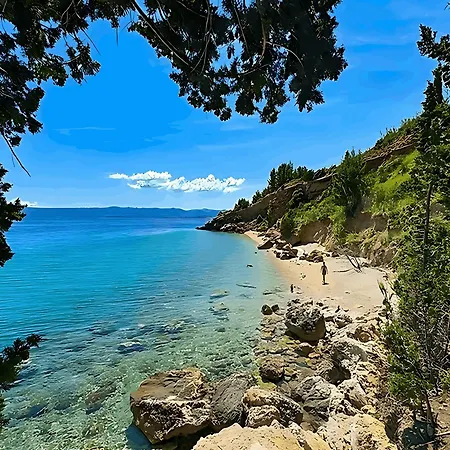 Karolina Großes Meerblick 2000qm Garten Familien Gruppen Insel Lošinj Nerezine