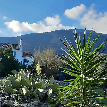 Ferienhaus Karolina Großes Meerblick 2000qm Garten Familien Gruppen Insel Lošinj Nerezine