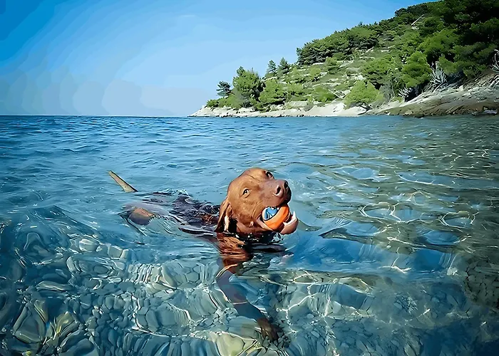 Prázdninový dům Karolina Grosses Meerblick 2000qm Garten Familien Gruppen Insel Losinj Nerezine